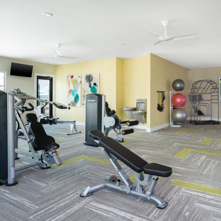 Workout room with various machines and weights