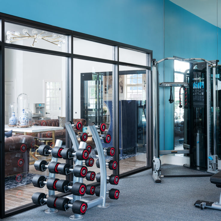 Workout room with various machines and weights