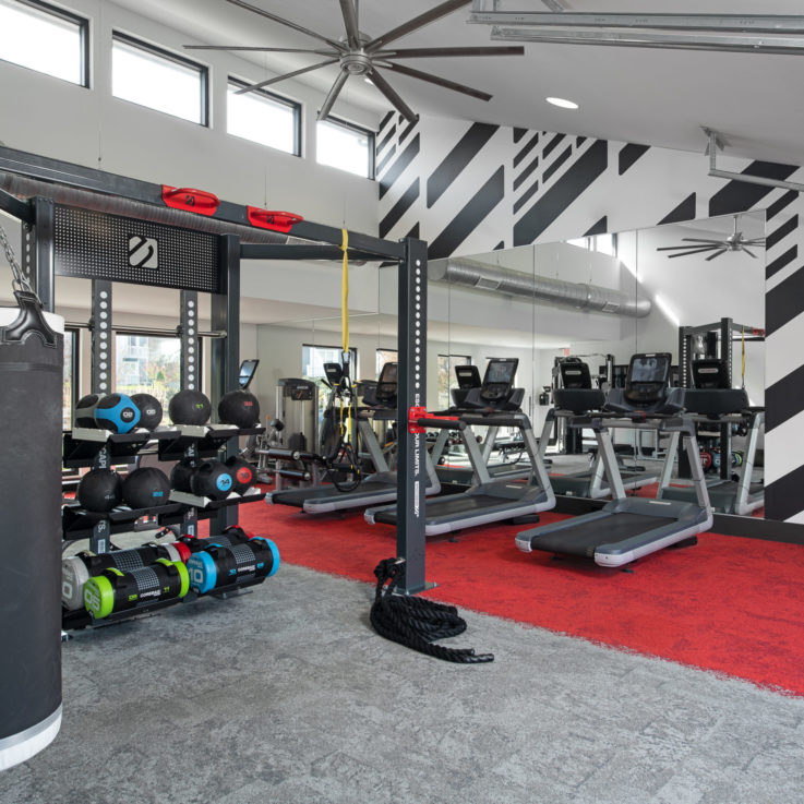 Workout room with various weights and machines