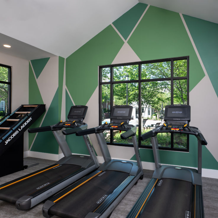 Three treadmills and a Jacobs Ladder in front of a window