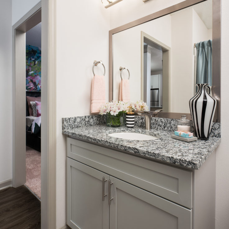 Bathroom sink with a granite countertop and a large framed mirror