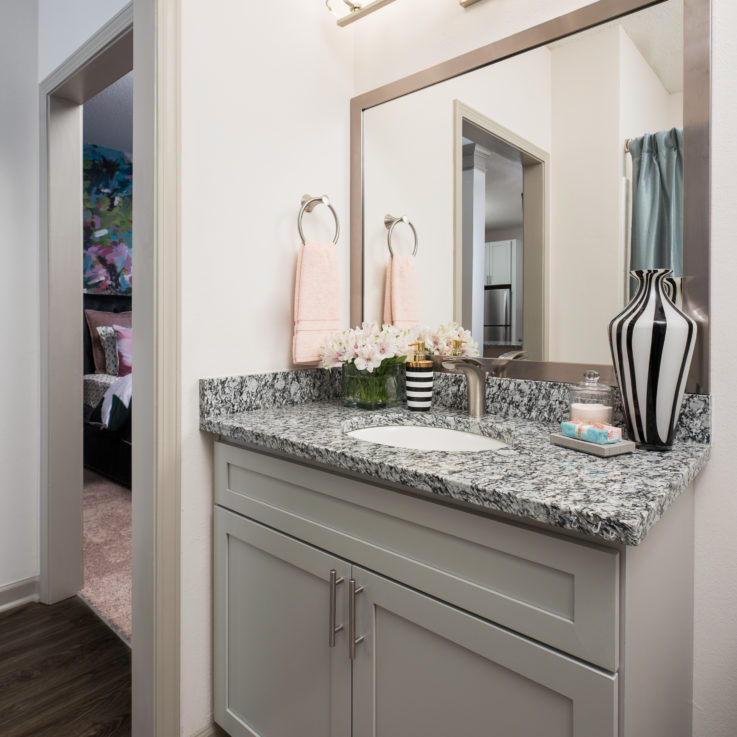 Bathroom sink with a granite countertop and a large framed mirror