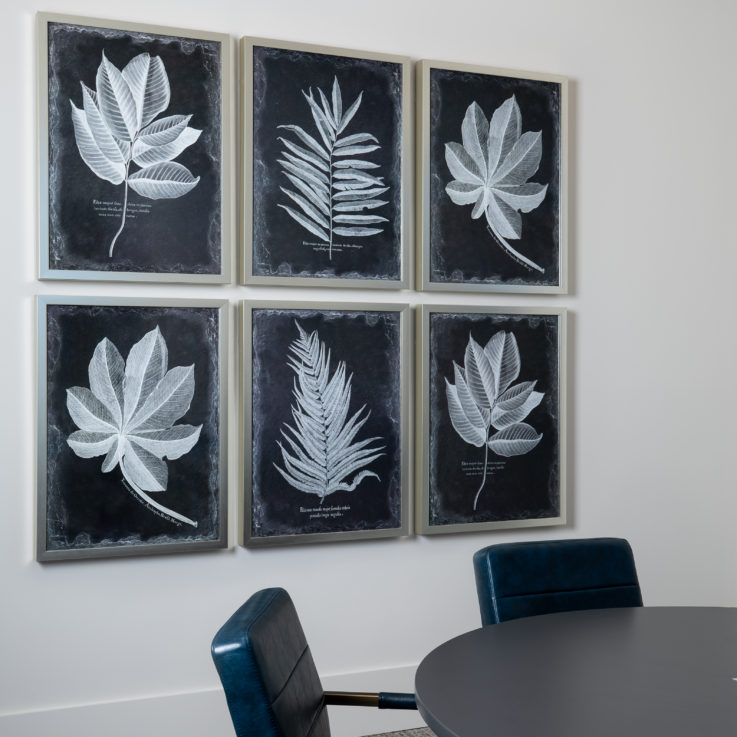 Six black and white paintings of leaves