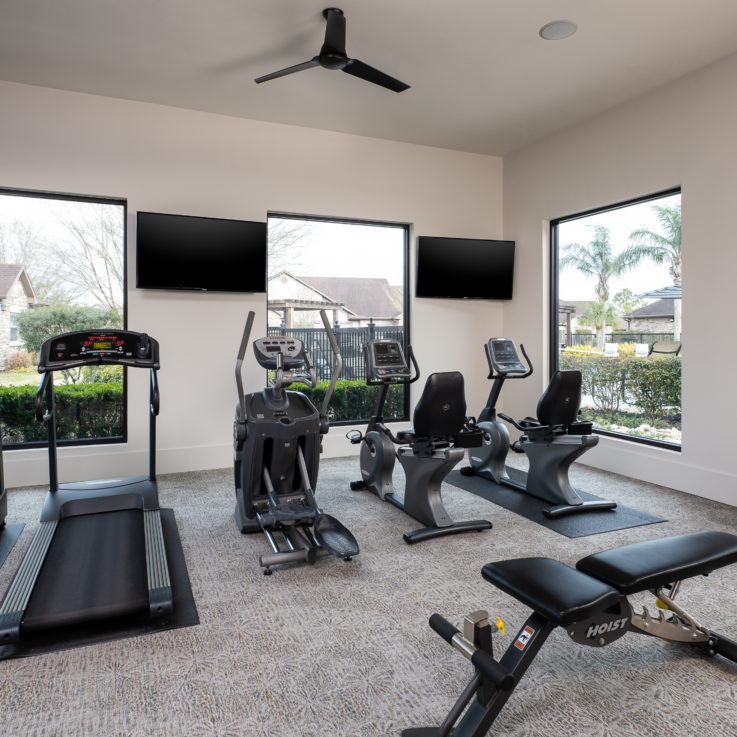 Workout area with treadmills and elliptical machines