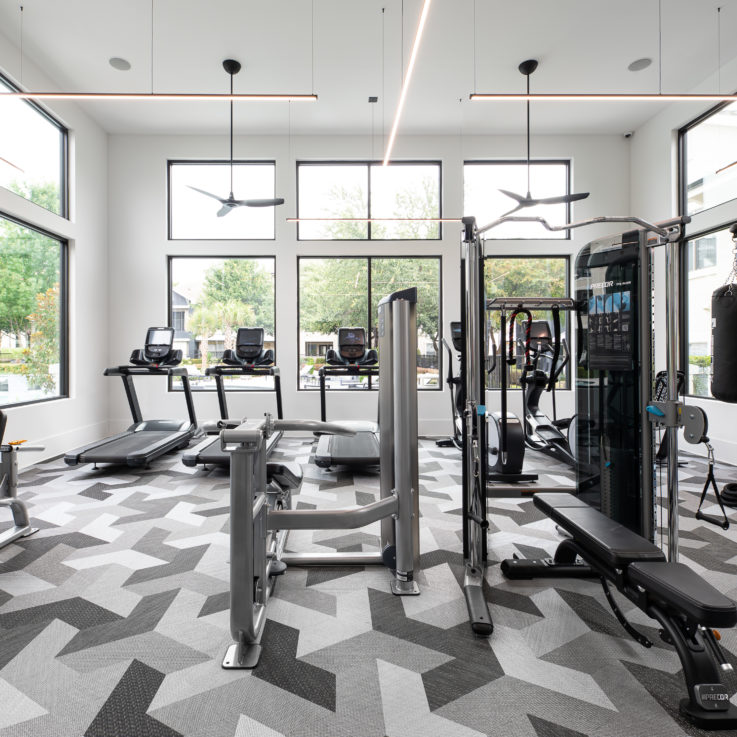 Workout room with various machines and weights