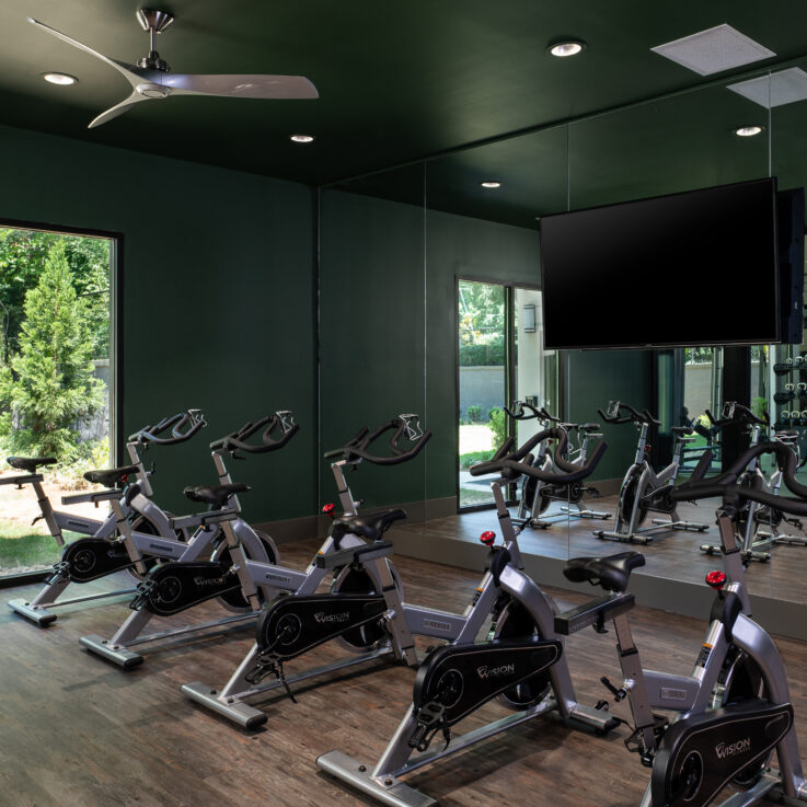 Stationary bicycles in front of a mirror wall with a flatscreen television