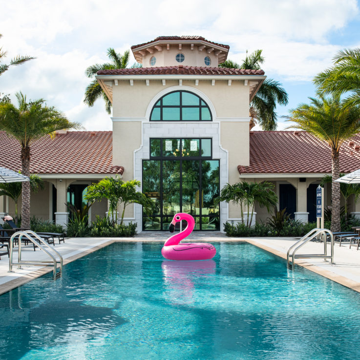 Outdoor pool with a pink inflatable flamingo