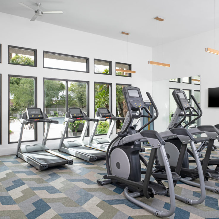 Workout room with treadmills and elliptical machines
