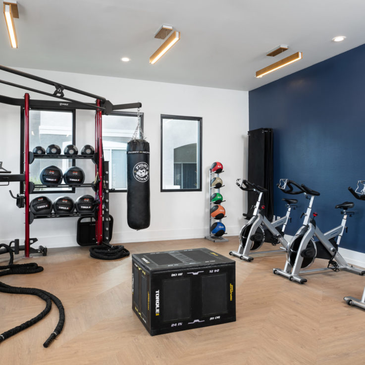 Workout room with stationary bicycles and a punching bag