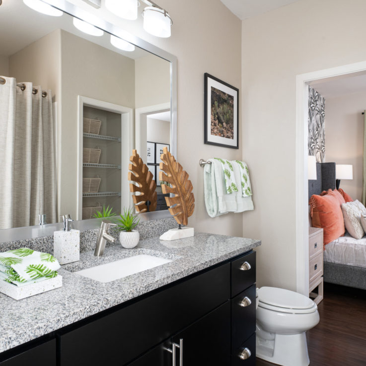 Cortland Mountain Vista Apartment Bathroom