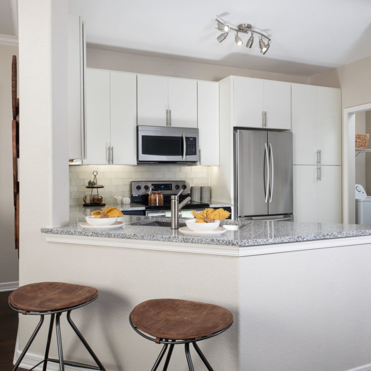 Cortland Mountain Vista Apartment Kitchen with Bar Stools